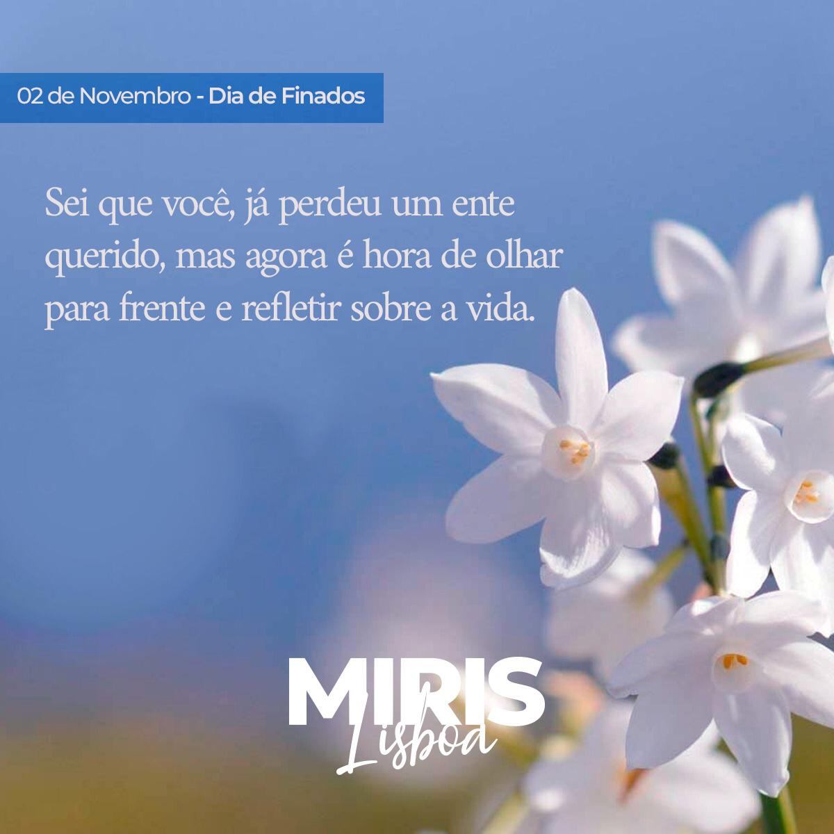 Dia de Finados, um dia de respeito aos que já se foram.