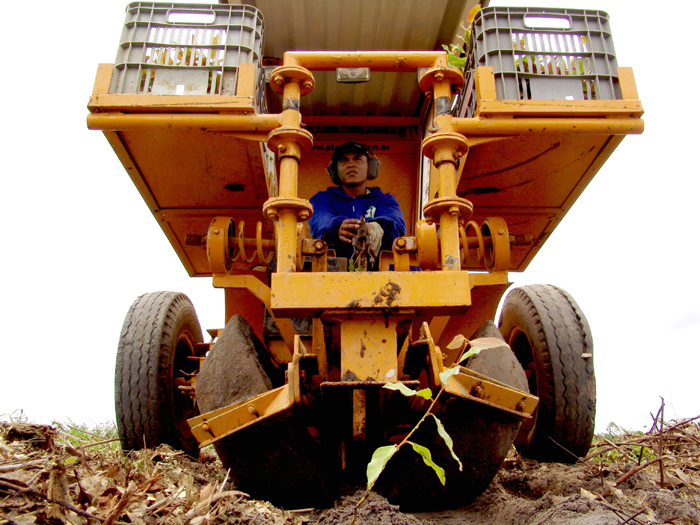 Veracel Celulose divulga 04 editais para contratação de: