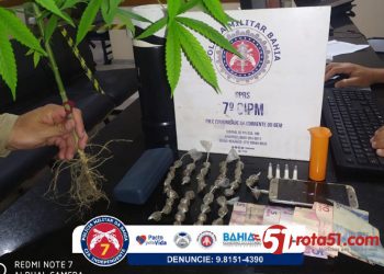 PRISÃO POR TRÁFICO EM EUNÁPOLIS, DROGAS E PÉ DE MACONHA APREENDIDOS