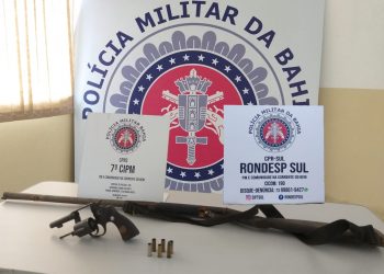 Polícia mandou parar, não parou, correu e atirou, danou-se, virou passarinho e subiu mais cedo.