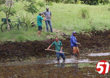 Lagoa do bairro Dinah Borges, continua sendo limpa, num trabalho da secretaria de meio ambiente.