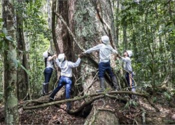 A Veracel Celulose comemorou o Dia Mundial das Florestas e o Dia Mundial da Água. As datas destacam dois recursos naturais muito importantes para a proteção da fauna e da flora.