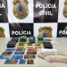 EUNÁPOLIS: POLÍCIA CIVIL prende golpista que agia em vários estados da federação