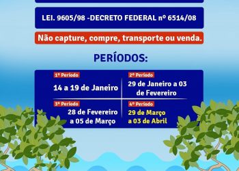 Secretaria de Meio Ambiente alerta para período do defeso em Porto Seguro