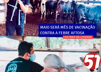 Maio será mês de vacinação contra a febre aftosa