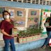 Prefeita Cordélia Torres sanciona Projeto de Lei “Programa Plante Uma Árvore”