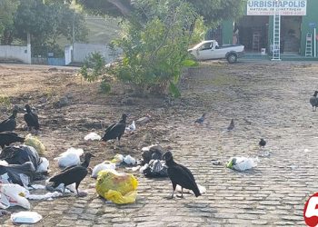 Consciência cidadã faz uma cidade limpa