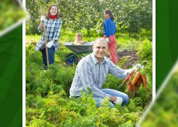 Dia do Agricultor