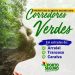 PREFEITURA DE PORTO SEGURO CRIA “CORREDORES VERDES”, EM ESTRADAS DO ARRAIAL, TRANCOSO E CARAÍVA