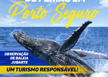 As lindas baleias Jubartes já estão na costa de Porto Seguro! Aproveite!!