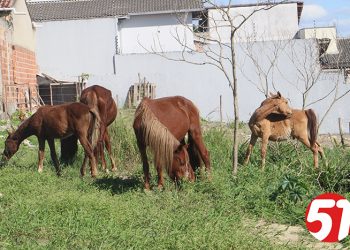 Na Câmara Municipal só discursos, mas o rota51.com, está trabalhando, mostrando o que poderia ter sido feito e, não foi.