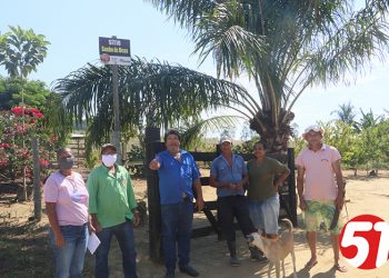 A agricultura familiar, a sobrevivência da cidade, sofrendo com a bandidagem.