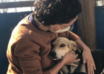 Cordélia sanciona lei para criar clínica veterinária atendendo a sonho antigo dos eunapolitanos