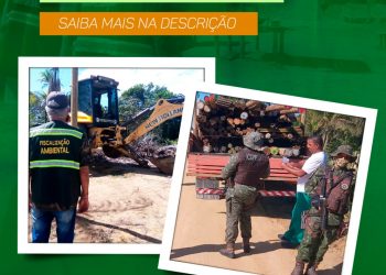 Meio Ambiente e CIPPA intensificam ações de combate a crimes ambientais