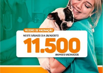 Dia de intensificação da vacinação em cães e gatos aconteceu neste sábado, dia 28.