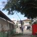Prefeitura promove poda de árvores na cidade.
