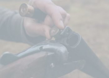 Mataram a capivara, não comeram e ainda fugiram da polícia.