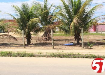 Se não vai pelo amor, vai pela dor, Câmara Municipal poderá aprovar lei que obriga operadoras a fazerem manutenção de suas redes.