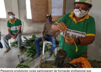 Secretaria de Agricultura viabiliza curso de formação sobre enxertia do cacau para produtores rurais