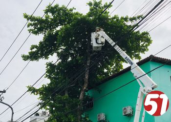 Prefeitura de Eunápolis remove árvore que oferecia risco à população