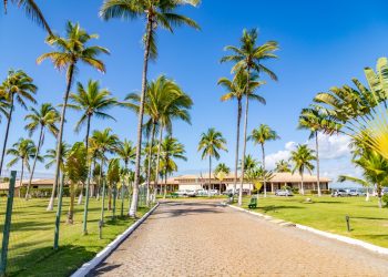 Porto Seguro Eco Bahia Hotel traz nova opção de entretenimento Chopp dobrado, comida de boteco e boa música, com uma paisagem deslumbrante