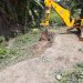 Secretaria de Serviços Públicos realiza limpeza no Córrego do Gravatá para evitar enchentes em Eunápolis