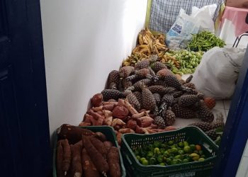 Secretaria de Agricultura prossegue ações do PAA com distribuição de alimentos a entidades