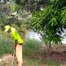 Secretaria de Serviços Públicos realiza limpeza de preservação na lagoa do Dinah Borges