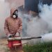 O fumacê está passando nos bairros e distritos da terra mãe do Brasil