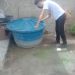 Secretaria de saúde de Porto Seguro, monitora mosquito da dengue