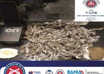 PM causa maior prejuízo no tráfico de drogas.