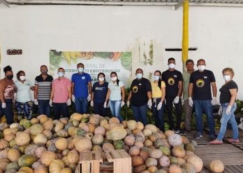 Nesta semana mais 33 entidades sociais foram beneficiadas pelo Alimenta Brasil