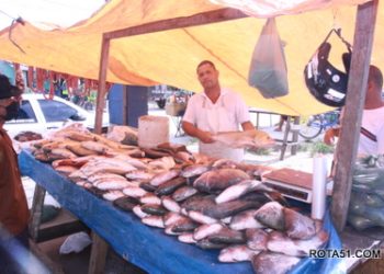 Feira do Juca Rosa, pede socorro à prefeita, antes que as “fake News”, comecem, a percorrer as redes sociais, façam um carnaval on line.