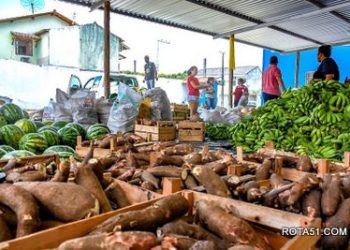 Programa Alimenta Brasil leva alimentos saudáveis às famílias em situação de insegurança alimentar