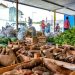 Programa Alimenta Brasil leva alimentos saudáveis às famílias em situação de insegurança alimentar
