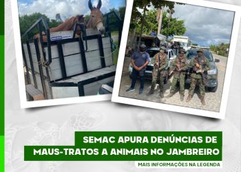 Semac apura denúncias de maus-tratos a animais no Jambreiro