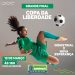 Neste sábado, a grande final de futebol feminino na praça da Liberdade.