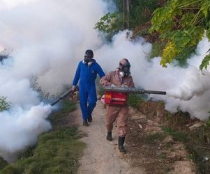 VERÃO ☀️ SEM DENGUE 🦟