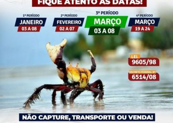 🦀Atenção ao 4º período de andada do caranguejo-uça