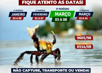Atenção ao período do defeso do caranguejo-uça