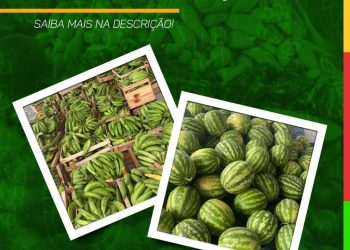 Programa Alimenta Brasil entrega mais de 7 toneladas de alimentos na última terça-feira