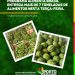 Programa Alimenta Brasil entrega mais de 7 toneladas de alimentos na última terça-feira