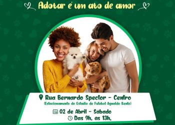 FEIRA DE ADOÇÃO: OPORTUNIDADE PARA ACOLHER E DAR UM LAR A UM PET