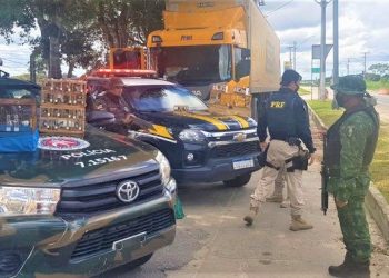 PRF e CIPPA BA flagram crime ambiental e resgatam pássaros silvestres escondidos dentro de cabine de caminhão dos Correios