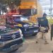 PRF e CIPPA BA flagram crime ambiental e resgatam pássaros silvestres escondidos dentro de cabine de caminhão dos Correios