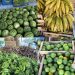 Alimenta Brasil: sucesso na aquisição de alimentos e distribuição nesta terça-feira