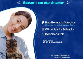 Adote um pet no mês de prevenção à crueldade animal