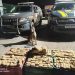 Com auxílio de cão farejador da Rondesp, PRF apreende 160 kg de maconha em Feira de Santana (BA)