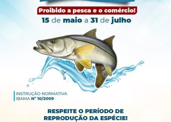 Atenção ao defeso do robalo