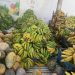 Alimenta Brasil segue cronograma promovendo segurança alimentar